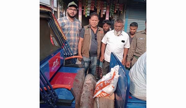 নোয়াখালীতে ১১৩ কেজির শাপলাপাতা মাছ জব্দ, অতঃপর