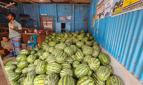 রাজবাড়ীতে ‘তরমুজ’ সিন্ডিকেটে হাসছে ব‍্যবসায়ী, পকেট কাটা যাচ্ছে ক্রেতাদের