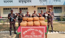 হবিগঞ্জে ৫৫ বিজিবির অভিযানে ৭৩ কেজি ভারতীয় গাঁজা আটক