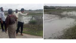 রাধাবল্লভপুরে অবৈধ বাঁধে পানি নিস্কাশন বন্ধ, প্রতিকার চায় স্থানীয়রা