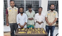 স্বর্ণের ঘোড়া-হরিণ-দুল দেখিয়ে কোটি টাকার ফাঁদ! ডিবি'র জালে তিন প্রতারক