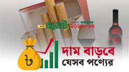 আসছে বাজেটে বাড়তে পারে যেসব পণ্যের দাম