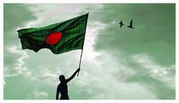 বিজয় দিবসে এবারও প্যারেড হবে না: স্বরাষ্ট্র উপদেষ্টা