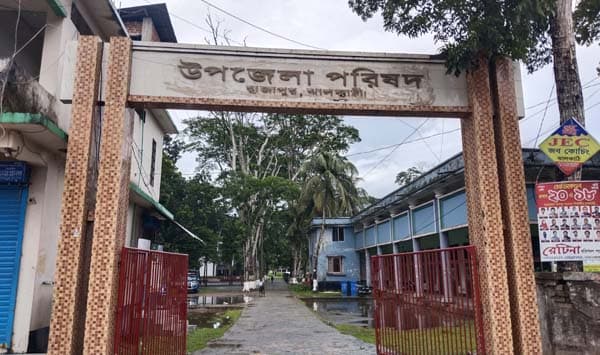 রাজাপুরে সরকারি গাছ কেটে ব্যক্তিগত ফার্নিচার বানানোর অভিযোগ