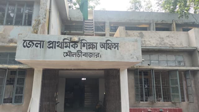 মৌলভীবাজারে প্রাথমিক শিক্ষার্থীদের ৩০ শতাংশের শিখন ঘাটতি