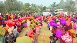 ভূরুঙ্গামারীতে শীতার্তদের মাঝে কম্বল বিতরণ