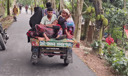 নওগাঁয় সিএনজির ধাক্কায় ২ বছর বয়সী শিশুর মৃত্যু