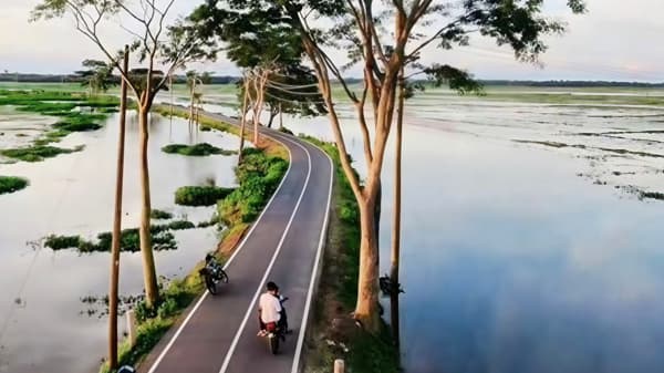 রাজনগরে প্রকৃতির অপরূপ মেলবন্ধন 'ভুরভুরি বিল'