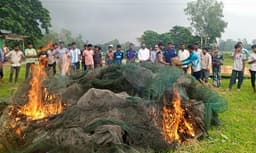 গোপালপুরে ঝিনাই নদীতে অভিযান, জব্দ ৯০০ মিটার অবৈধ চায়না জাল