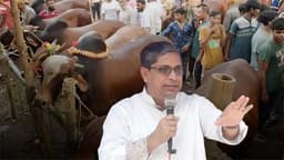 কোরবানির পশুর হাটে চাঁদাবাজি হলে কঠোর ব্যবস্থা: প্রতিমন্ত্রী