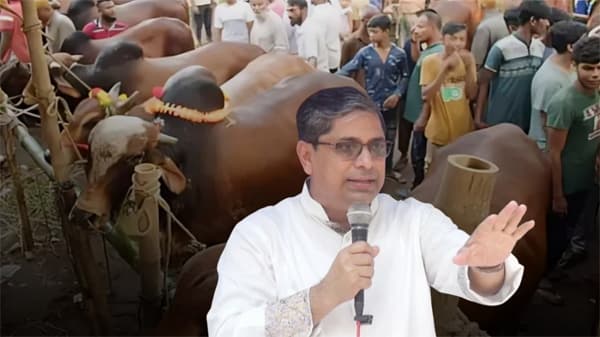 কোরবানির পশুর হাটে চাঁদাবাজি হলে কঠোর ব্যবস্থা: প্রতিমন্ত্রী