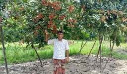 নবাবগঞ্জে রামবুটান চাষে আ. রহমানের ব্যতিক্রমী সাফল্য