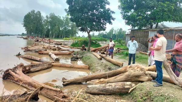 দুধকুমার নদে ভেসে এলো হাজারো গাছের গুড়ি