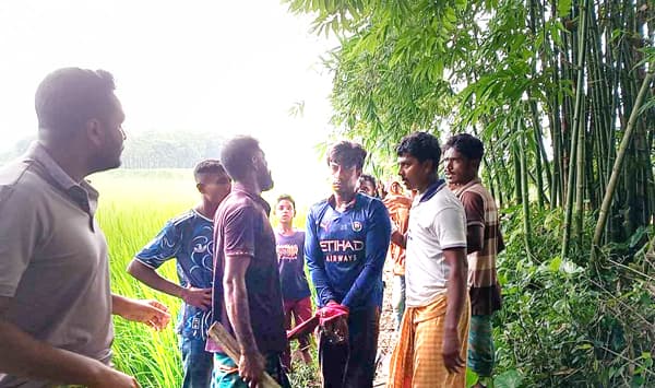ঝিনাইদহে মাদকাসক্ত ছেলের হাতে মা খুন, আটক