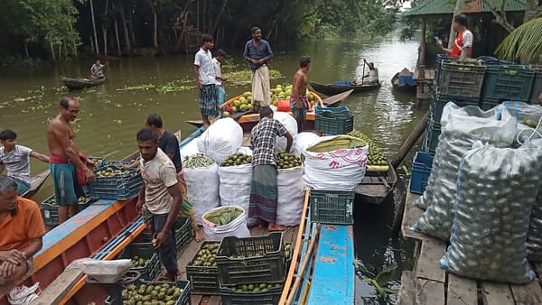 ১২ কোটি টাকার আমড়া, বদলে যাচ্ছে কৃষকের ভাগ্য