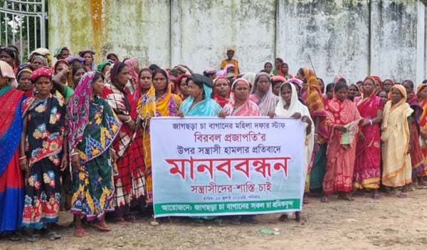 চা শ্রমিকের ওপর হামলার প্রতিবাদে শ্রীমঙ্গলে মানববন্ধন ও দুই ঘন্টা কর্মবিরতি 