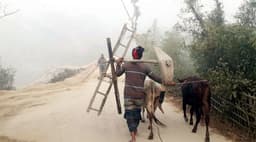 কুয়াশা ঠান্ডায় ভাঙছে কৃষকের শীতকালীন স্বপ্ন