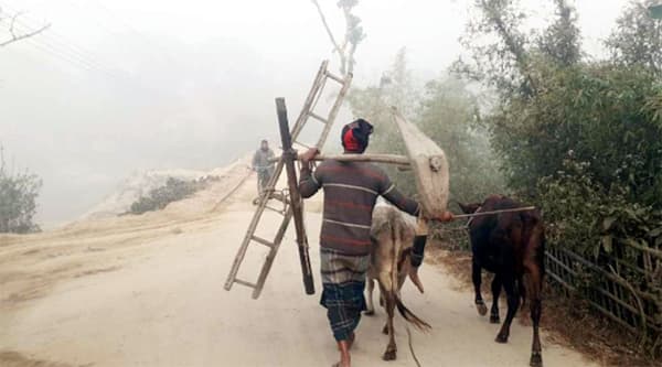 কুয়াশা ঠান্ডায় ভাঙছে কৃষকের শীতকালীন স্বপ্ন