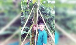 বড়লেখায় এক কাঁদিতে হাজারের বেশি কলা, দেখতে ভিড়