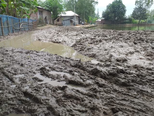 পাঁচবিবির এক গ্রাম বিএনপি-জামায়াত তকমার কারণে উন্নয়ন থেকে বঞ্চিত