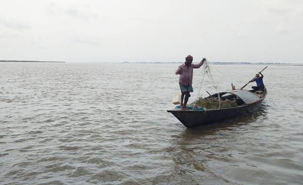 নজরদারির অভাবে ব্রহ্মপুত্র নদে ইলিশ শিকারের মহোৎসব