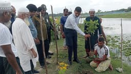 মহিপুরে সৌন্দর্যবর্ধনে বৃক্ষরোপণ কর্মসূচির উদ্বোধন 