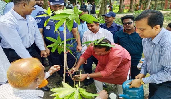 হিজলায় বৃক্ষরোপণ কর্মসূচির উদ্বোধন করলেন প্রতিমন্ত্রী রাজিব আহসান