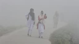 পাঁচ দিনের পূর্বাভাসে দেশের তাপমাত্রা হ্রাসের আভাস