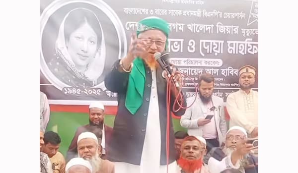 আমি রোহিঙ্গা নই, তারেক রহমান পাঠিয়েছেন—জুনায়েদ আল হাবিব