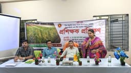 আধুনিক প্রযুক্তিতে আমন ধানের চাষাবাদ শেখানো হলো মাদারীপুরে