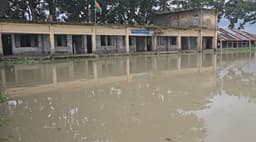 বিষখালীর ভয়াবহ ভাঙনে হুমকিতে নলছিটির চার শিক্ষাপ্রতিষ্ঠান