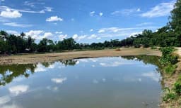 সিন্ডিকেটের দখলে নলুয়া খেলার মাঠে মাছ চাষ