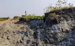 কালিয়াকৈরে আদালতের আদেশ অমান্য, খামারের মাটি পাচার