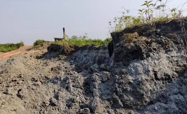 কালিয়াকৈরে আদালতের আদেশ অমান্য, খামারের মাটি পাচার
