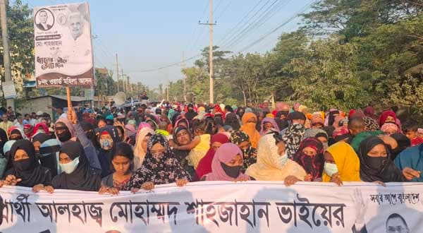 নোয়াখালীতে ধানের শীষের পক্ষে নির্বাচনী পথযাত্রা