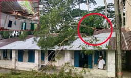 কালবৈশাখীতে রাজাপুরে বিদ্যালয়ের দুই শ্রেণিকক্ষ ক্ষতিগ্রস্ত, পাঠদান ব্যাহতের শঙ্কা