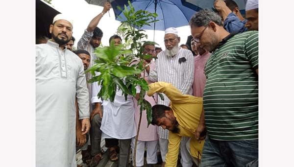 গোপালপুরে শহীদ জিয়ার স্মরণে বৃক্ষরোপণ কর্মসূচি