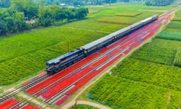 পাখির চোখে রুহিয়ায় রেললাইন যেনো লাল গালিচা