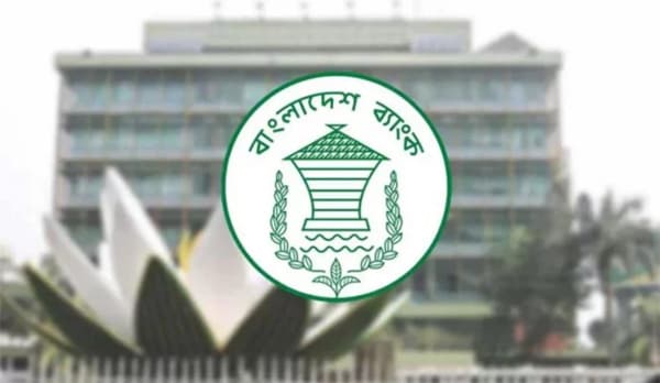 ব্যাংক খাতে ২০২৫ সালে রেকর্ড লোকসানের ধাক্কা