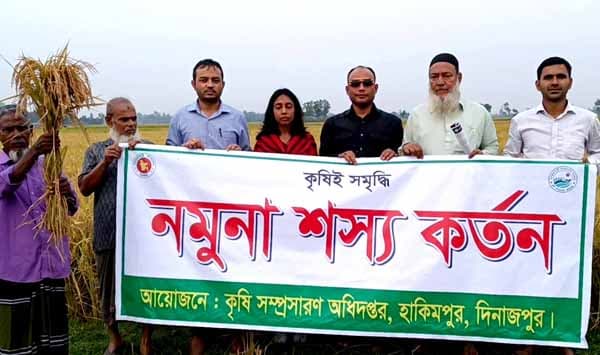হিলিতে ব্রি ধান ১০১ চাষে নতুন সম্ভাবনার দ্বার
