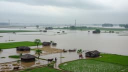 তিস্তা নদীর পানি বিপৎসীমার ওপরে, নীলফামারীতে প্লাবনের শঙ্কা