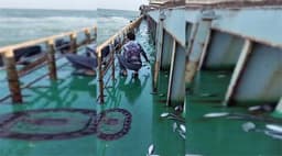 সমুদ্রে চলন্ত জাহাজে হঠাৎ ইলিশের ঝাঁপ, তিন মণ সংগ্রহ, ভিডিও ভাইরাল