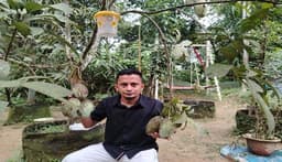 শখের বাগানে দেশি বিদেশি আমের অনন্য বিস্ময় গড়লেন শিক্ষক রেজাউল 