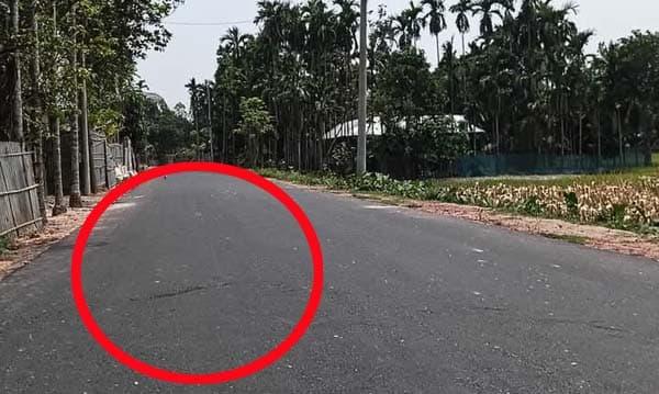 ভূরুঙ্গামারীতে কাজ শেষ হওয়ার আগেই সড়কে ফাটল ! অনিয়মের অভিযোগ
