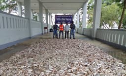 মহিপুরে কোস্টগার্ডে অভিযানে ফের ১৫ কেজি সামুদিক মাছ জব্দ
