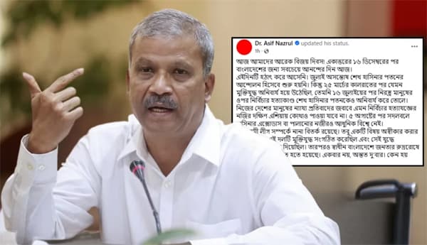 আত্মসমালোচনার অভাবেই জনরোষে আওয়ামী লীগের পতন: আসিফ নজরুল