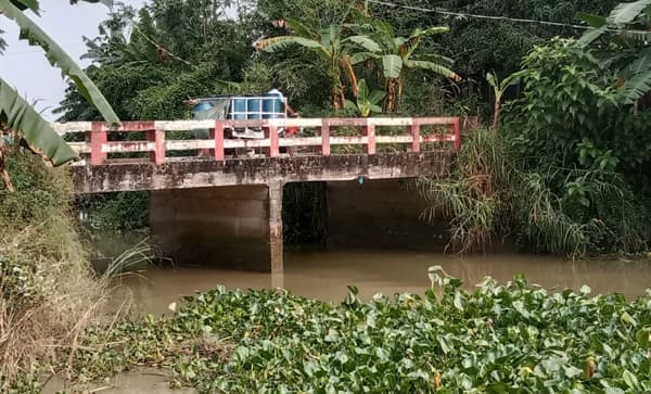 অপরিকল্পিত ব্রিজে মৃতপ্রায় ‘মরা পদ্মা’, হারাচ্ছে নদীর প্রাণচাঞ্চল্য