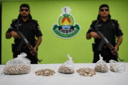 দৌলতদিয়ায় অভিযানে ১ হাজার ৫০ পুরিয়া হেরোইন উদ্ধার, গ্রেপ্তার দুই নারী
