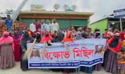 বিতর্কিত বক্তব্যে ক্ষোভ: এমপি হান্নান মাসউদের বিরুদ্ধে ঝাড়ু মিছিল