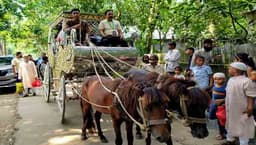 ঘোড়ার গাড়িতে চড়িয়ে শিক্ষকদের রাজকীয় বিদায়